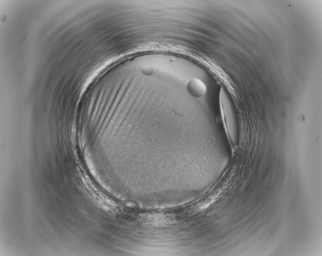 X0000087010896200705141828