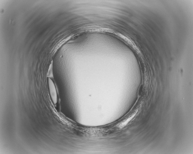 X0000087010897200705141828