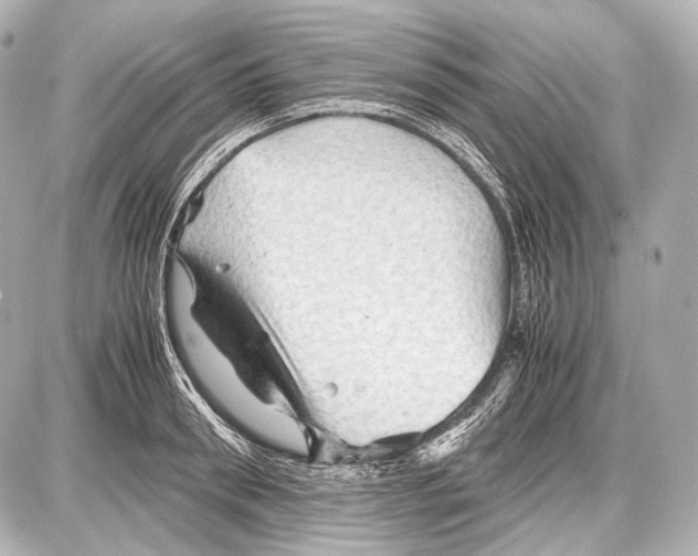 X0000087010898200705141828