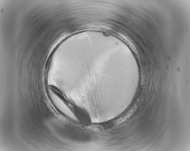 X0000087010899200705141828