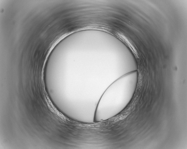 X0000087010900200705141828