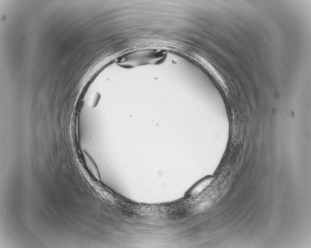 X0000087010901200705141828