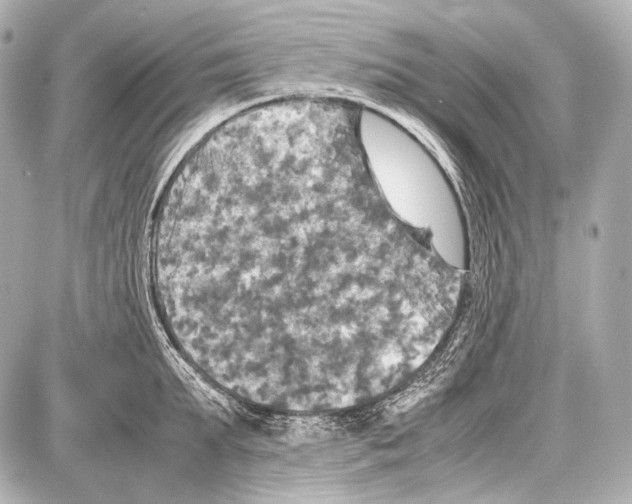 X0000087010903200705141828