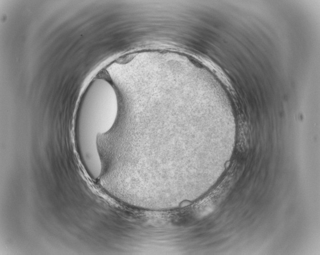 X0000087010904200705141828