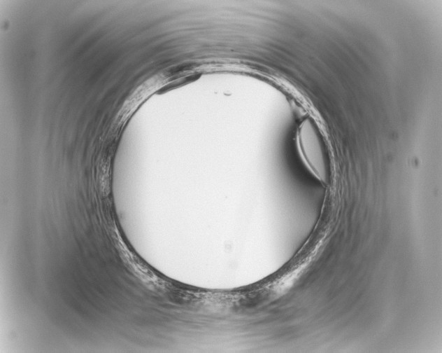 X0000087010905200705141828