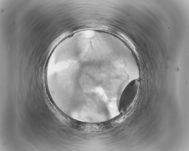 X0000087010907200705141828