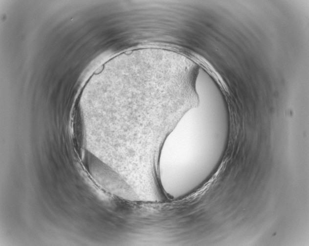 X0000087010908200705141828