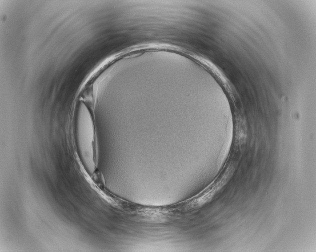 X0000087010910200705141828