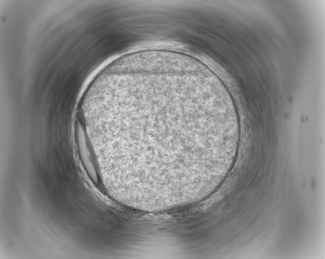 X0000087010912200705141828