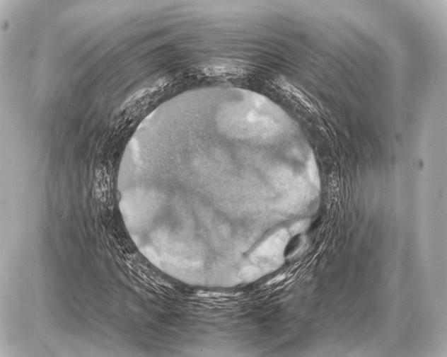 X0000087010917200705141827