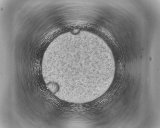 X0000087010918200705141827