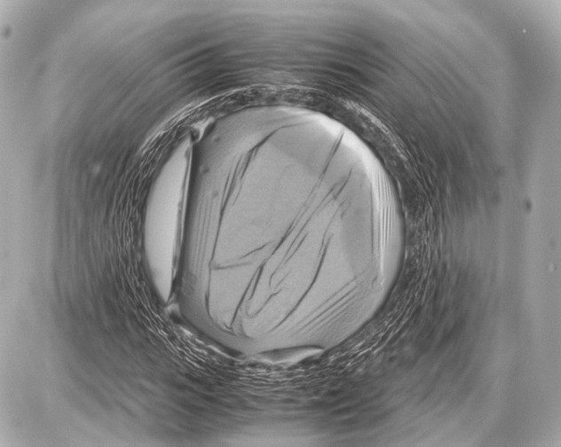 X0000087010919200705141827