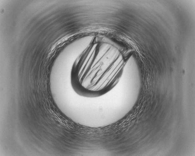 X0000087010920200705141827