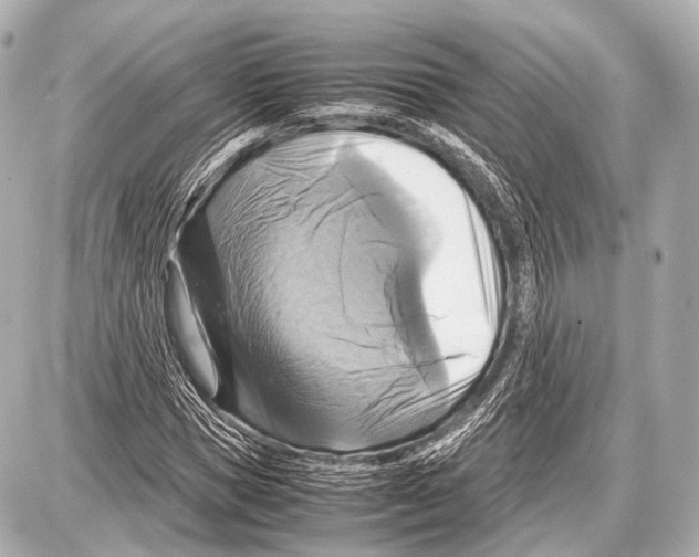 X0000087010921200705141827