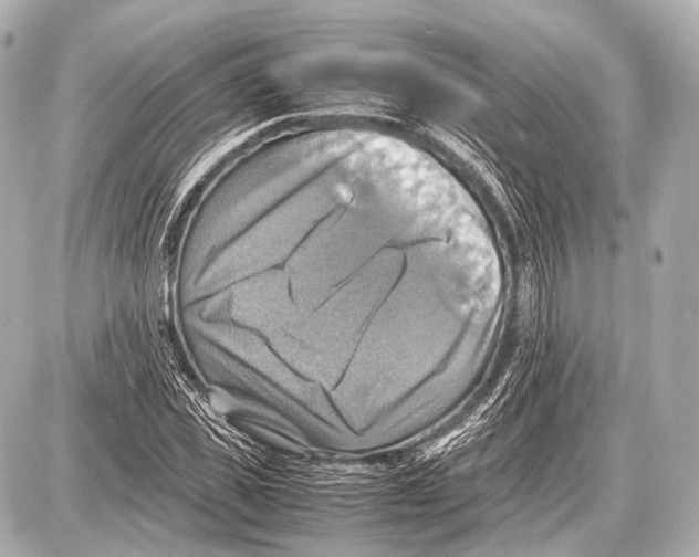 X0000087010925200705141827