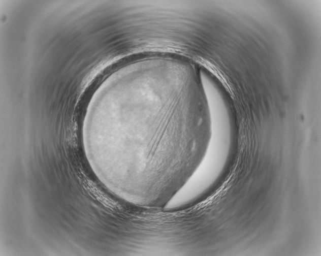 X0000087010926200705141827