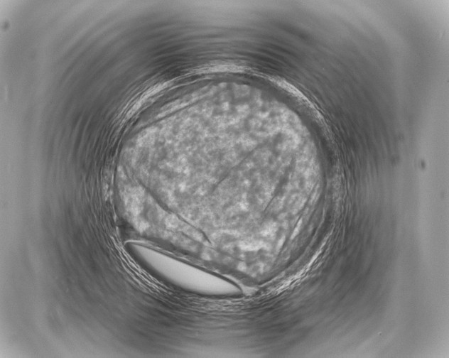 X0000087010929200705141827