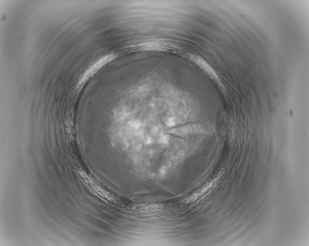 X0000087010930200705141827