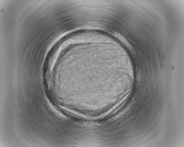 X0000087010934200705141828