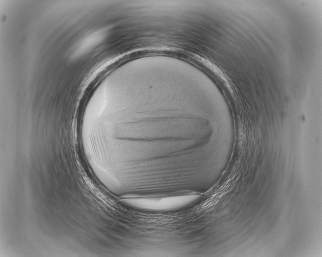 X0000087010935200705141828