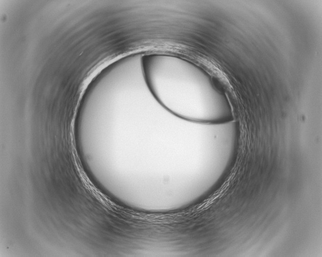 X0000087010936200705141828