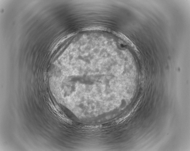 X0000087010937200705141828