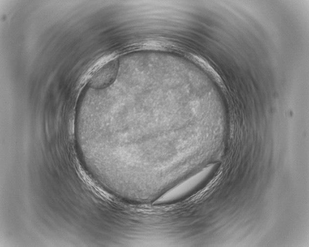 X0000087010938200705141828