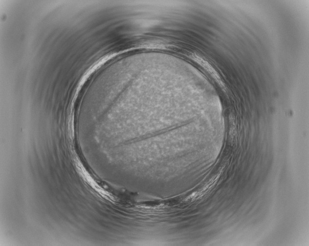 X0000087010939200705141828