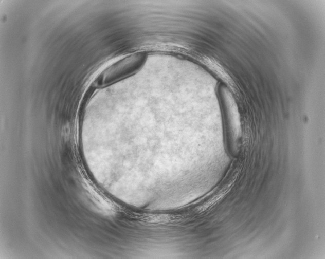 X0000087010940200705141828