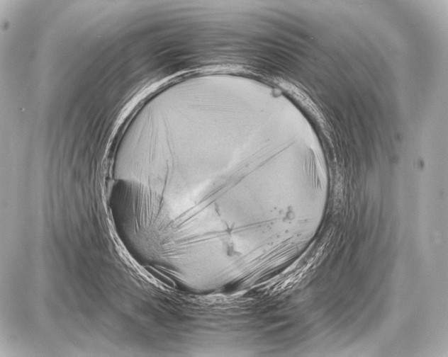 X0000087010941200705141828