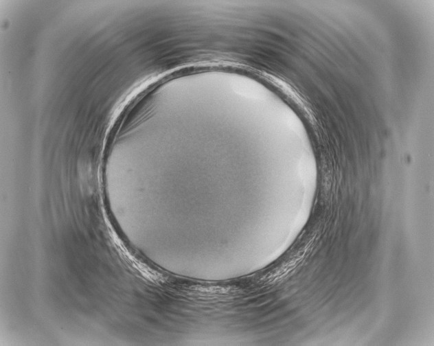 X0000087010943200705141828