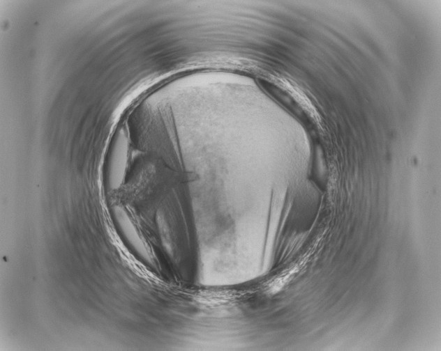 X0000087010944200705141828