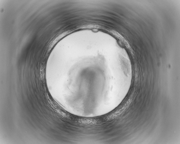 X0000087010945200705141828