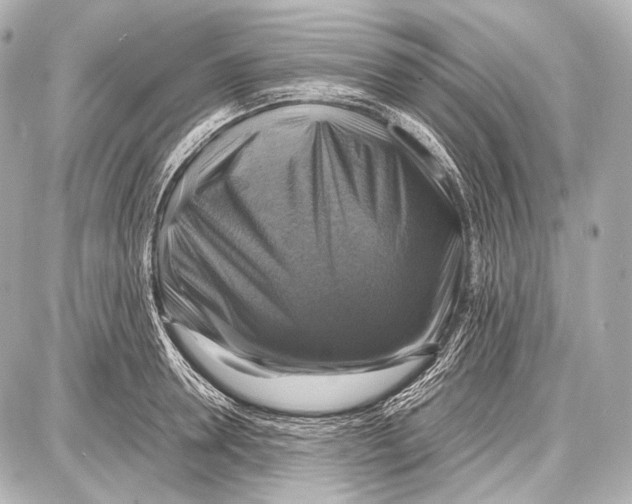 X0000087010946200705141828