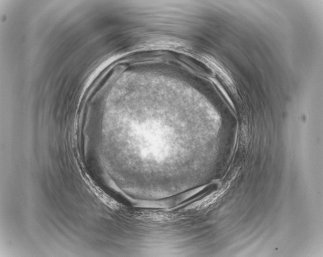 X0000087010948200705141828