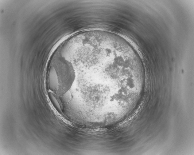 X0000087010949200705141828