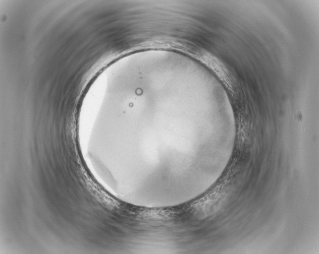 X0000087010950200705141828