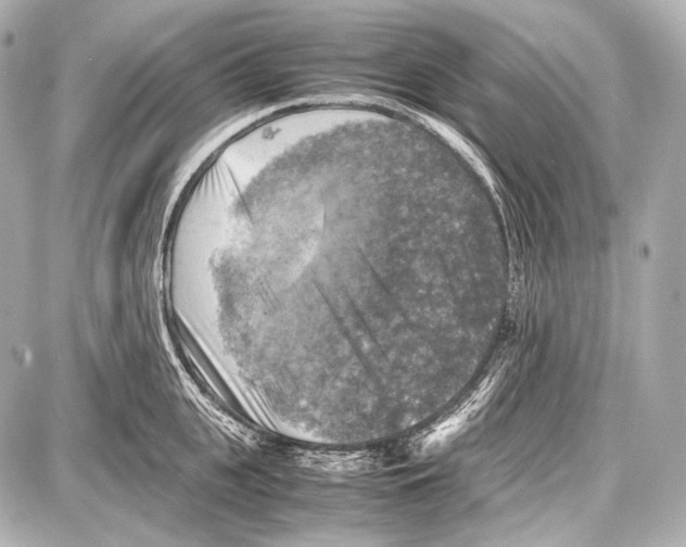 X0000087010951200705141828