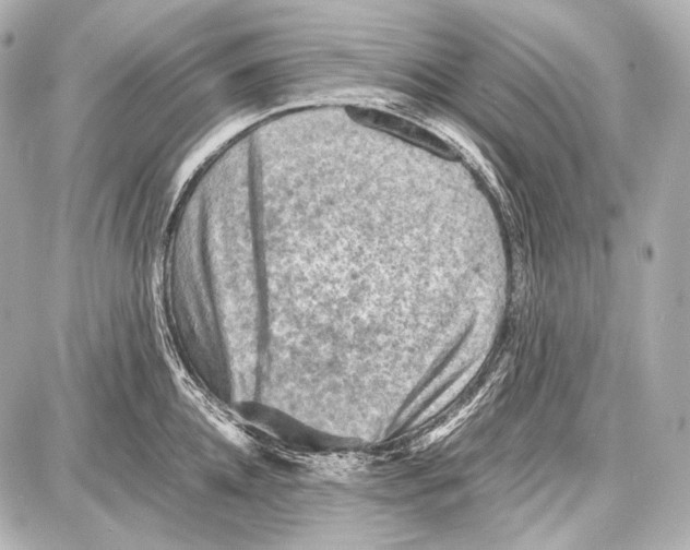 X0000087010952200705141828