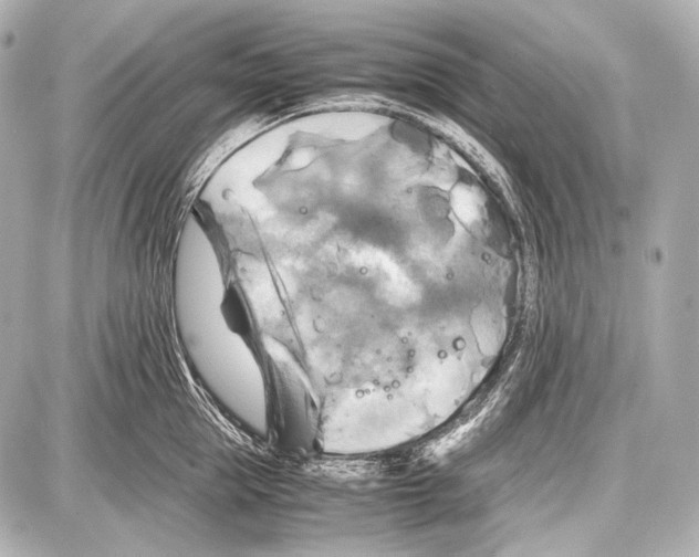 X0000087010953200705141828