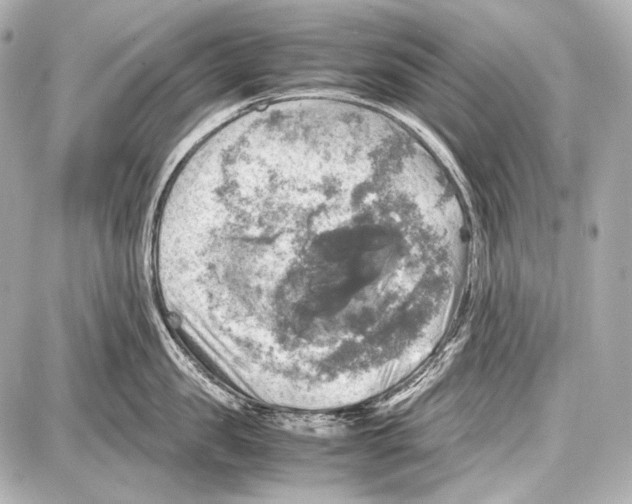 X0000087010957200705141828