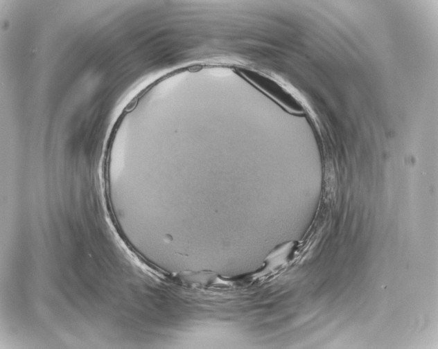 X0000087010959200705141828