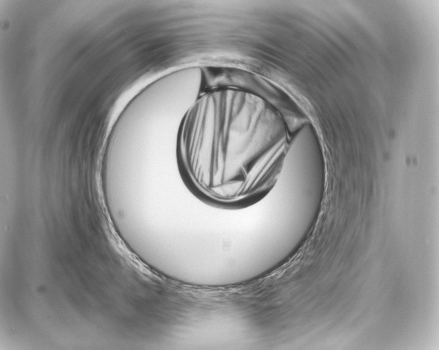 X0000087010960200705141828