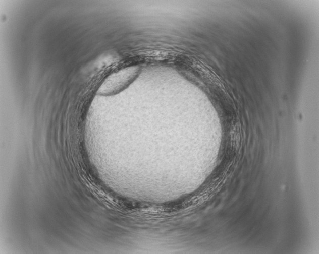 X0000087010961200705141827