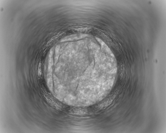 X0000087010962200705141827