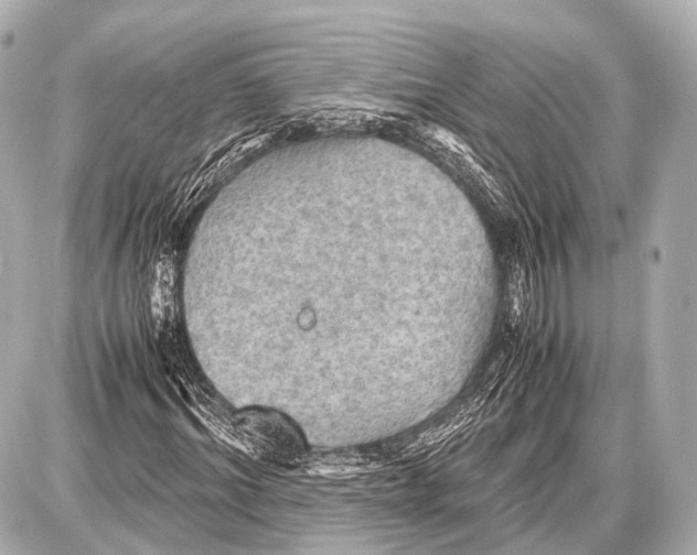 X0000087010964200705141827