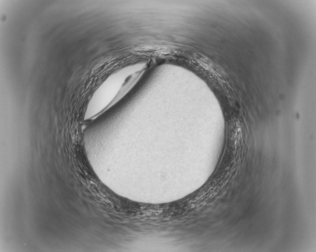 X0000087010965200705141827