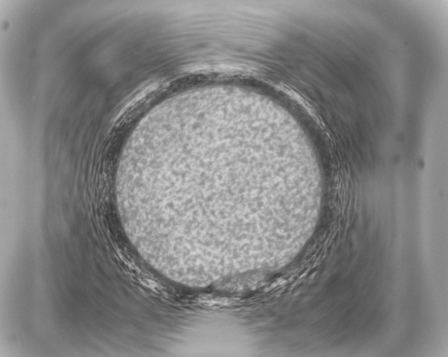 X0000087010967200705141827