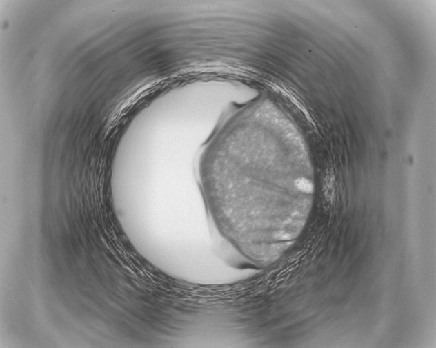 X0000087010968200705141827