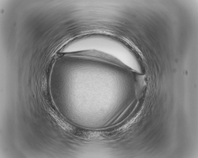 X0000087010969200705141827